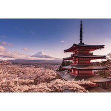 Maxi Poster Mount Fuji Blossom