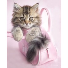 Mini Poster Rachael Hale Minnie