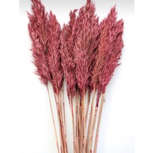 Essuare Design Gül Kurusu Pampas