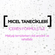 Garnier Micellar Kusursuz Makyaj Temizleme Jeli 200ml