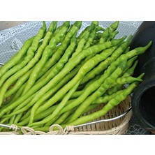 Murat Tohum Tatlı Kıl Biberi Tohumu 25 Adet Tohum