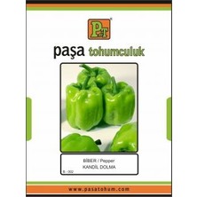 Paşa Tohumculuk Biber Tohumu Kandil Dolma 10 gr