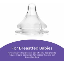 Lansinoh Breastfeeding 240 ml 3'lü Biberon