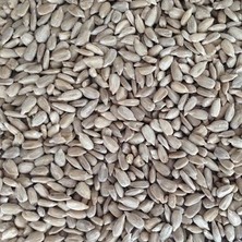 Glutensiz Ayçekirdeği İçi 10000 g