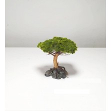 Marimo Scape Dekor Ağaç Figürü Moss Sarılı 's'