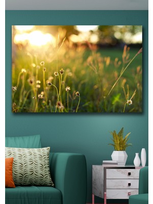Hediyeler Kapında 50X70 Sızan Güneş Kanvas Duvar Tablo