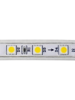 Horoz Volga 50x50 Dış Mekan Mavi Şerit LED 50 Metre