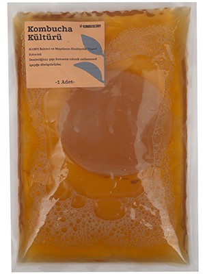 Kombu Scoby Mantarı - Kombucha Kültürü - Kombucha Scoby - Kombu Çayı