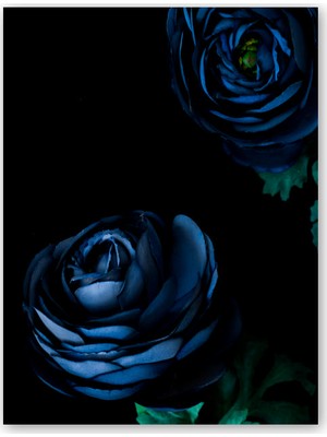 Ahşap Tablo Lacivert Güller Siyah Arkaplan