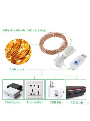 Hdmarketim Yılbaşı Ağaç Süsleme USB Girişli Animasyonlu(2,8metre)Led Işık 30 Lu Mandal Fotograf Albüm