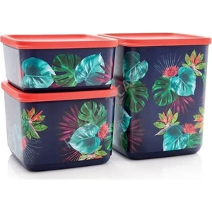 Kubik Mahola Set 3'lü