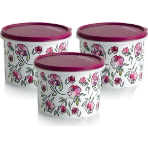 Silindir Kap Çiçekli 3'lü Set