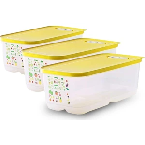 Sera Buzdolabı Saklama Kabı 3 x 6.1 lt