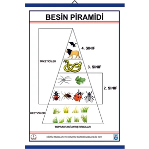 Besin Pramidi