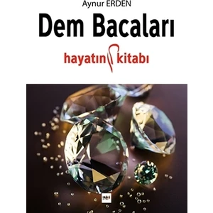 Dem Bacaları - Aynur Erden
