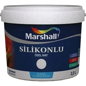 Silikonlu Özel Mat Şampanya 2,5 Lt