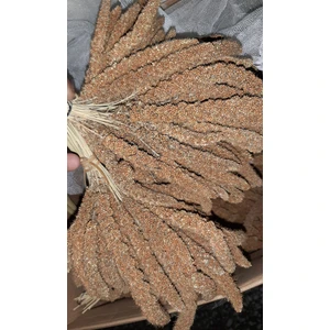 İksir Prof Kızıl Dal Darı 1 kg