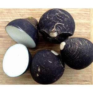 Garden İstanbul Kara Turp Tohumu 25GR Organik Ata Tohumu Babaanne Tohumu