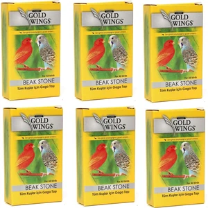 Gold Wings Classic Gaga Taşı (6 Adet)