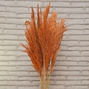 Turuncu Pampas 10 Adet 100 cm
