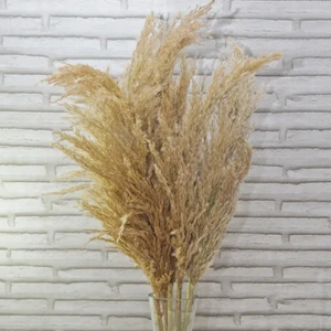 Krem Pampas 10 Adet 100 cm