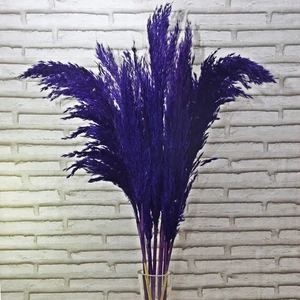 Mor Pampas 10 Adet 100 cm