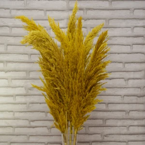 Sarı Pampas 10 Adet 100 cm