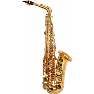 VAS370 Alto Saksafon Golden Lake