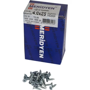 Sunta Vidası 4 x 25 mm  500 Adet
