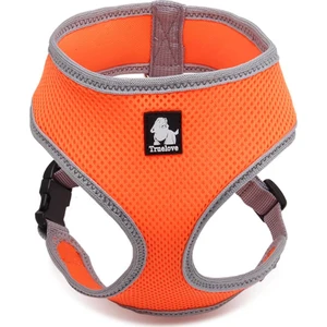 True Love Air Mesh Turuncu Köpek Göğüs Tasması