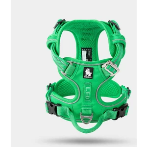 True Love Alüminyum D-Halkalı, Ergonomik, Yeşil Göğüs Tasması