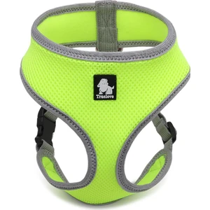 True Love Air Mesh Neon Sarı Köpek Göğüs Tasması
