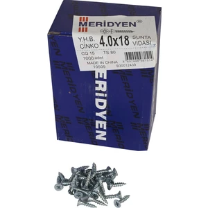 Meridyen Sunta Vidası 4 x 18 mm 1000 Adet