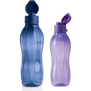 Eko Şişe 2'li Set  1 lt Lacivert - 500 ml K.kapak Mor
