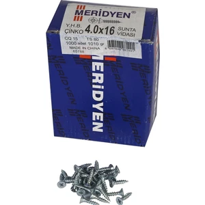 Meridyen Sunta Vidası 4 x 16 mm 1000 Adet