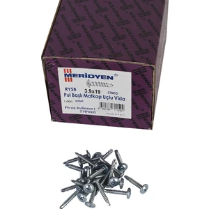 3.9 x 19 mm Meridyen Pul Başlı Matkap Uçlu Vida 1000 Adet