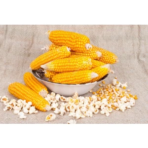 Yerli Pat-Pat Mısır Tohumu - 50 gr (Ort 250 Ad Tohum)