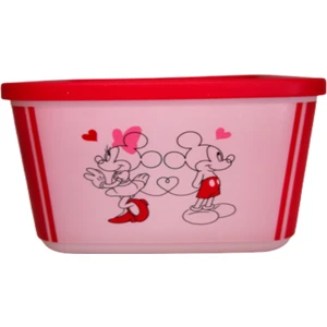 1 Lt Mickey Saklama Kabı