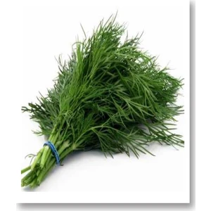 Ferah Dereotu Tohumu 25 Gr.