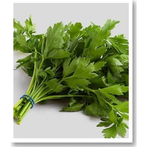 Maydanoz Tohumu(Geniş Yaprak) 25 Gr.