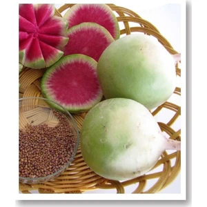 Çelebi Çin Turpu Tohumu 10 Gr.