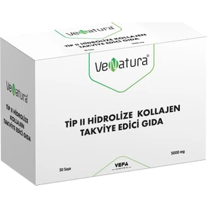 Tip 2 Hidrolize Balık Kollajeni Takviye Edici Gıda