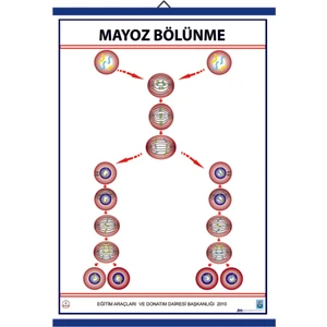 Mayoz Levhası 70 x 100 cm