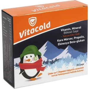 Bitkisel Vitamin C Çinko Karamürver ve Mineral 20 Saşe