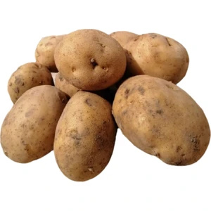 Dsa Tarim Taze Patates 5 kg