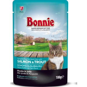 Pouch Somonlu ve Alabalıklı Yetişkin Kedi Konservesi 100GR
