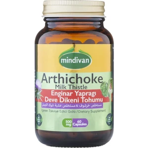 Enginar Ekstreli  Devedikeni Tohumu Ekstreli 60 Kapsül 500 Mg (2 Adet)