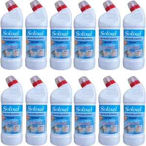 Pas ve Kir Çözücü 950 ml x 12'li