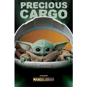 Maxi Poster Star Wars: The Mandalorian (Precious Cargo)