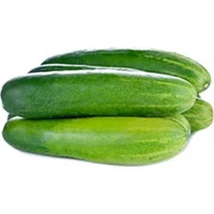 Murat Tohumculuk Murat Tohum Yerli Erkenci Badem Salatalık Tohumu 20 Adet Tohum